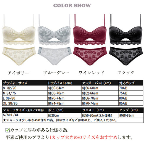 花柄刺しゅう レース ランジェリーセット ブラジャーショーツ上下セット レディース 盛れる脇高インナー 谷間ブラ ショーツ 小胸下着セット 脇スッキリ ブラセット 21NEIYI-037