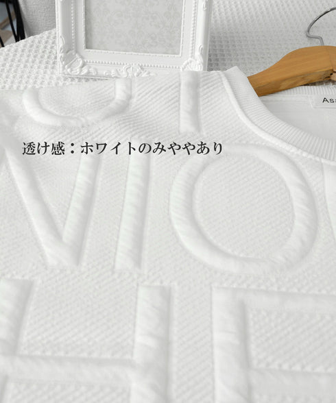 エンボス加工ロゴtシャツ メンズ 長袖 大人 カジュアル tシャツ黒 秋冬 ゆったり 男女兼用 クルーネック カップル かっこいい 立体ロゴ 韓国風トレーナー 33NZ-011