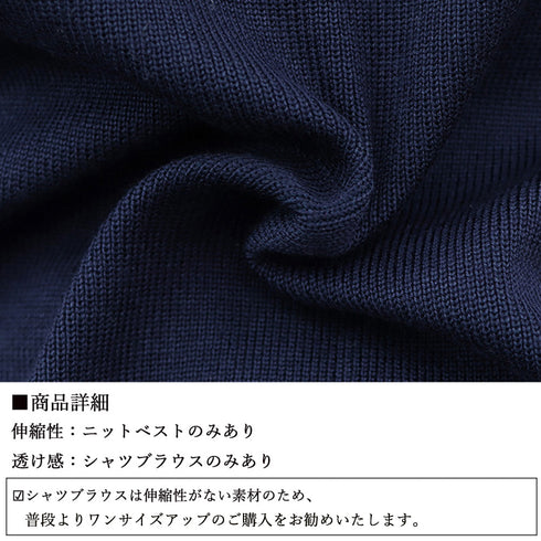 シャツブラウス ニットベスト 2点セット レディース 春秋 長袖シャツ レイヤード風重ね着 セットアップ カジュアル プルオーバー 80YT-004