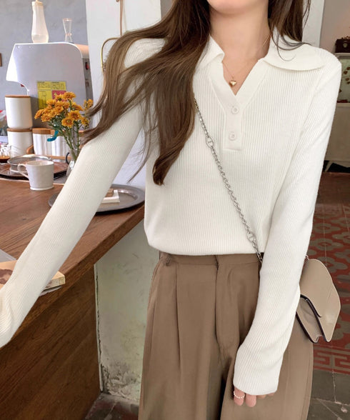 ポロニットトップス リブニット 韓国風 Vネックニットレディース長袖 きれいめニットプルオーバー オフィスカジュアル ニットセーターおしゃれ 着やせタイトニット 85YN-900610