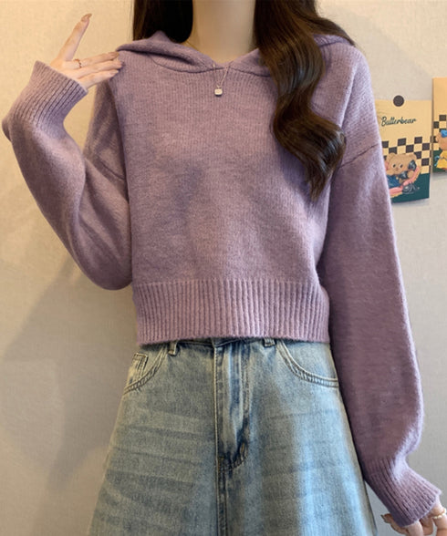 ニットパーカーフード付き ニットセーター レディース 大人可愛い ショート丈フーディー シンプル ニットプルオーバー おしゃれ 無地セーター 秋冬 ニットトップス 90SXIH-004