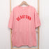 半袖Tシャツ レディース 韓国 英字ロゴ 全3色 プリントTシャツ カットソー シルエット 体型カバー ロング丈 ゆったり オルチャン カジュアル 古着風 99XHD-003